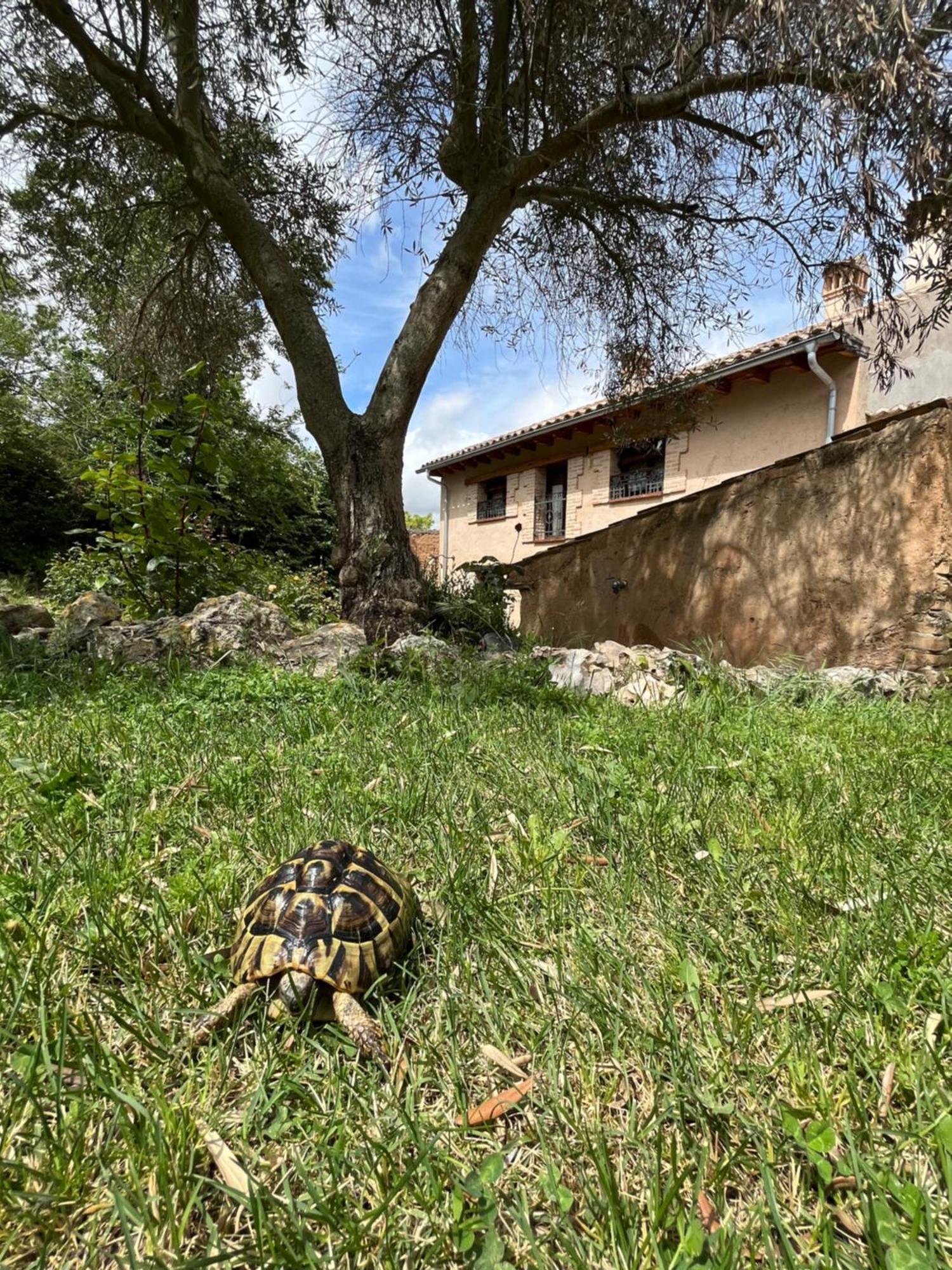 Holiday home El Salegar Roturas